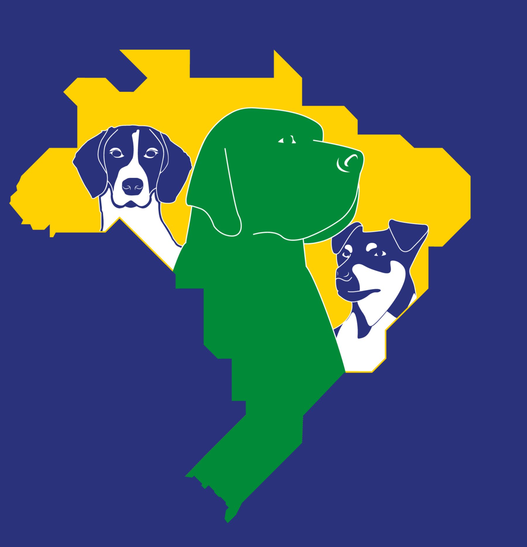 Meet Me in São Paulo